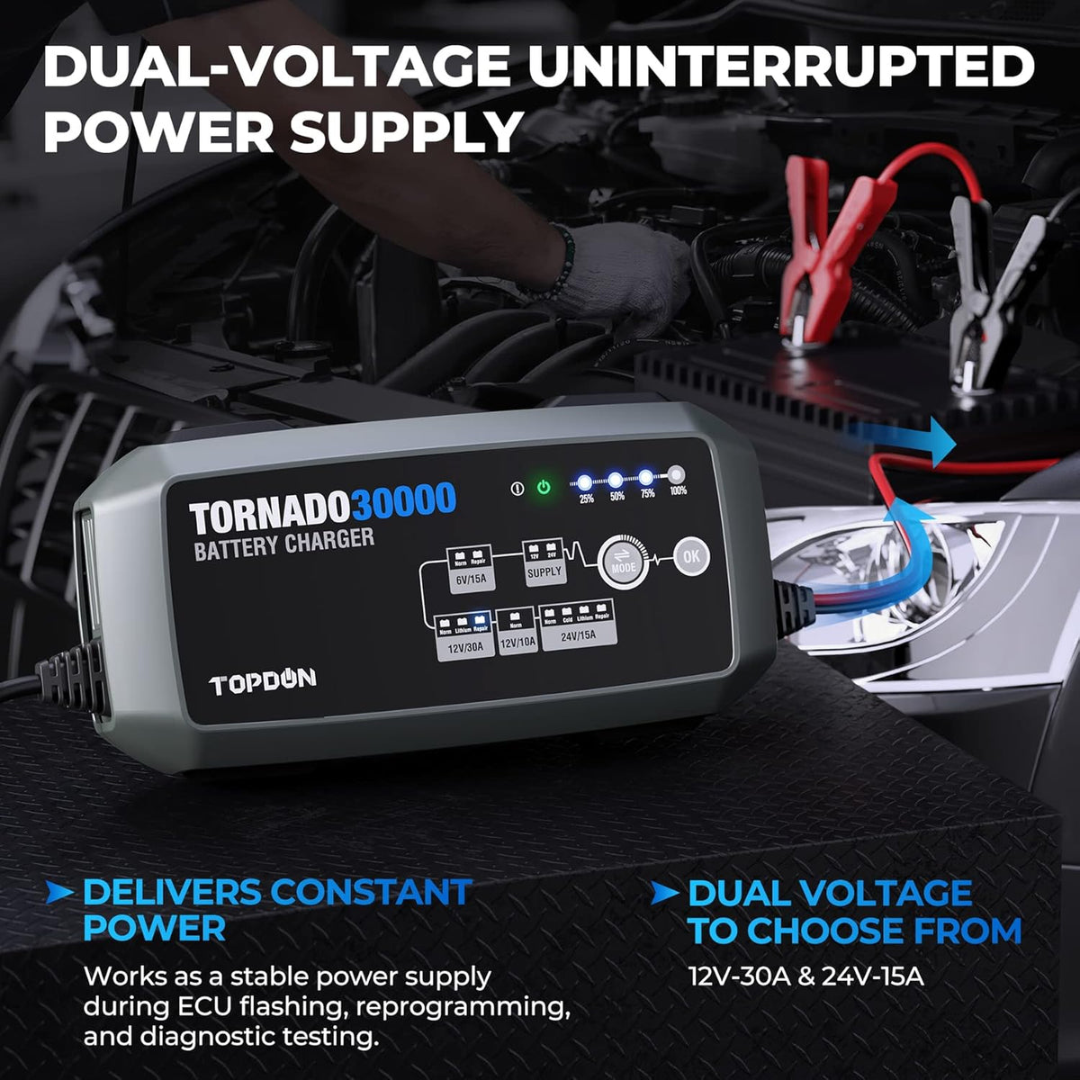 30 Amp Automotive Battery Charger B75218