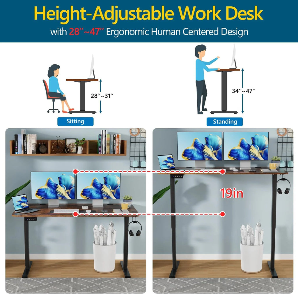 55"×24" Electric Height Adjustable Standing Desk with 2 Memory Function, Brown R197255