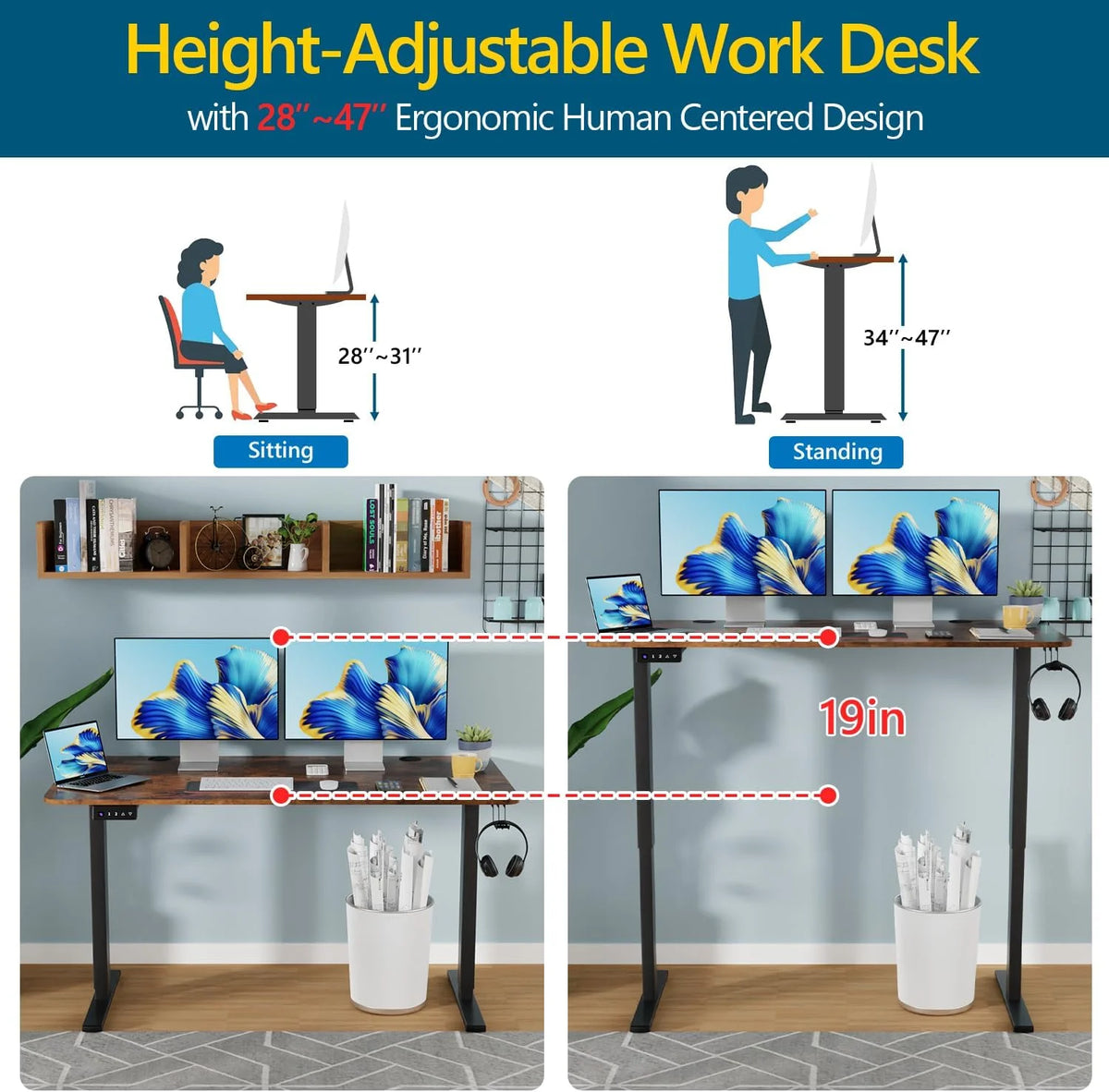 55"×24" Electric Height Adjustable Standing Desk with 2 Memory Function, Brown R197255