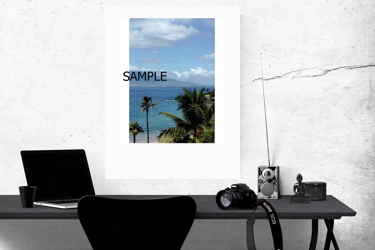 16x24 Unframed Poster A166133