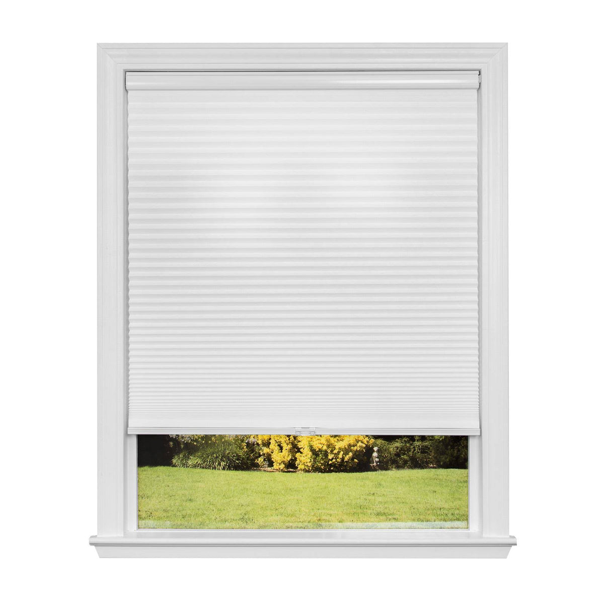 36.75-In W x 72-in L Snow Light Filtering Cellular Shade G920