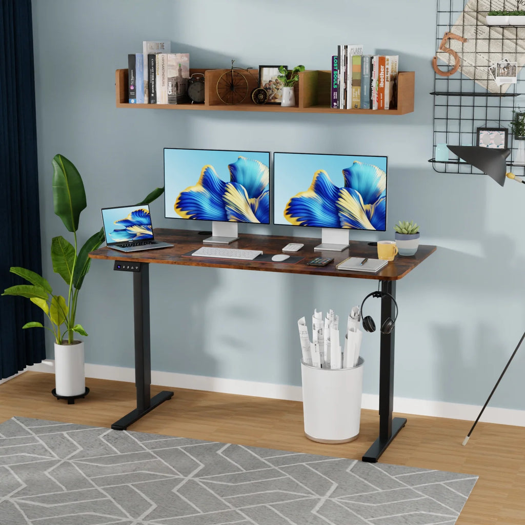 55"×24" Electric Height Adjustable Standing Desk with 2 Memory Function, Brown R197255