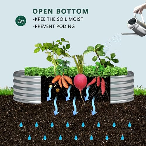 2 Pack Galvanized Metal Oval Raised Garden Bed (6x3x1FT, Silver) H3802
