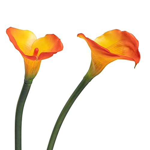 5 Pcs 25.6'' Yellow Latex Artificial Calla Lily Bouquet B92542