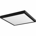 1 Light Square Flush Mount B789