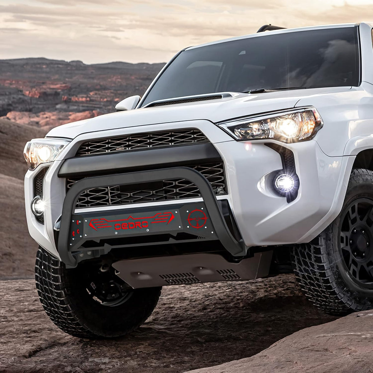 Paintable Bull Bar for Toyota 4Runner V340198