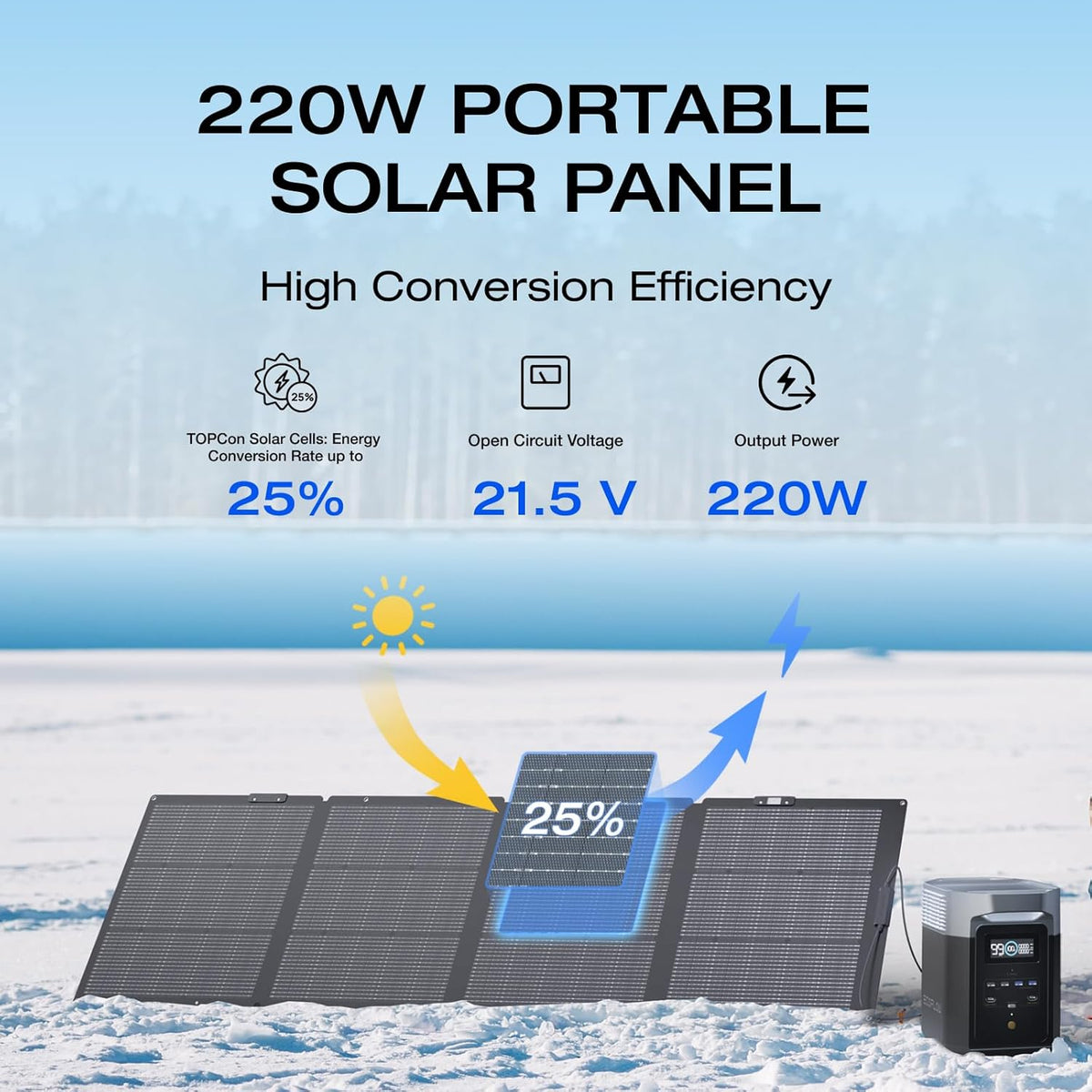 220 Watt Portable Solar Panel G975